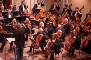 Lithuanian National Symphony Orchestra. Lithuanian National Philharmonic Hall. Photo by Adomas Švedas