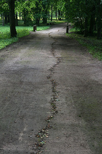 Židrija Janušaitė. "The Way", leaves, about 1 km Žagarė, 2011.