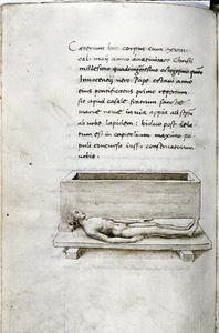 Ciriaco D‘Ancona. „Tulijos piešinys“, 1490 m. „Codex Ashmolensis“, Oksfordas, Didžioji Britanija