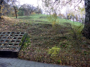 Terraced garden of J. Gruodis where apple tries planted by him are still growing. Photo by A. Raškevičiūtė