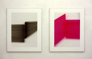 Works by Nina Brauhauser in the exhibition “Expanding Photography”. Photo of Meno Parkas gallery