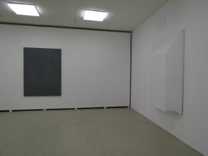 "Introspection". Exposition at the gallery Meno Parkas, 2012. Photo by P. Ramanauskas