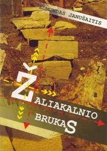 Edmundas Janušaitis. „Žaliakalnio brukas“, romanas. – Kaunas, E.Janušaitis, 2010.