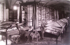 Archeology exhibition at the Antiquities Museum 1872–1915, LNM