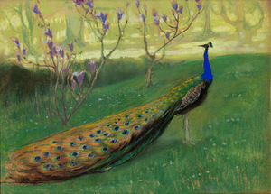 Kazimieras Stabrauskas. Peacock