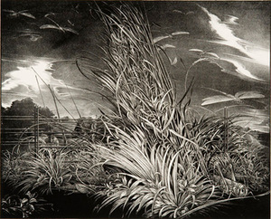 B. Stančikaitė. Against the wind. 1980, two-colored lithograph, 56,8 x 69,8. Modern meno centro archyvo nuotr.