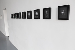 Image from the exhibition. Author's photograph