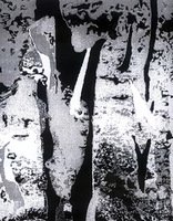 R. Malecko darbas iš serijos „Fotografikos abstrakcijos“ . 2010–2015, 50x40 cm