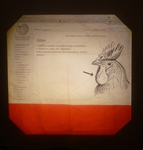 Illustration from the performance “Rooster who Loves Money”