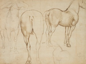 L. da Vinči, ,,Žirgo studija,“ 1490 m., Karališkoji kolekcija, Londonas, D. Britanija.