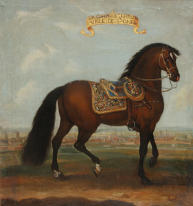 Le Commode. Ispaniškas. Sent Omero miestas. Karališkų žirgų serija. XVIII a. prad., Manso muziejus, Prancūzija