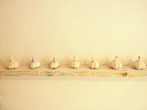 Garlic composition at the Menų tiltas gallery in Vilnius. Dalia gentvainytė's photo