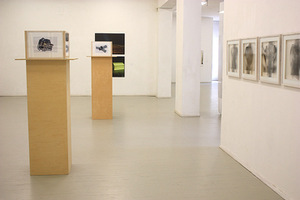 Parodos „Besiskleidžianti fotografija“ fragmentas. Kairėje - Katja Butt kūriniai. Galerijos „Meno parkas“ archyvo nuotr.