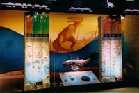 Klaipėda Sea Museum, Flora and Fauna Exposition, wall painting, al secco,1999-2004.